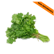 Load image into Gallery viewer, Fresh Coriander Bunch (1pc)