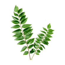 Load image into Gallery viewer, Dookan_Fresh_Curry_Leaves_10_15g