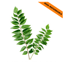 Load image into Gallery viewer, Fresh Curry Leaves (10-15g)