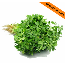 Load image into Gallery viewer, Fresh Methi Leaves Bunch (1pc)