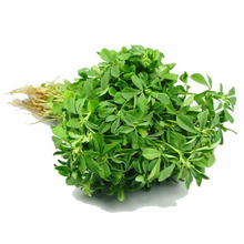 Load image into Gallery viewer, Dookan_Fresh_Methi_Leaves_Bunch_1pc