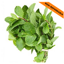Load image into Gallery viewer, Fresh Mint Bunch (1pc)