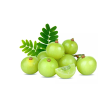 Load image into Gallery viewer, Dookan_Indian_Gooseberry_Amla_250g
