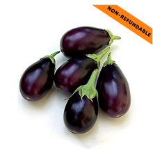 Load image into Gallery viewer, Purple Brinjal / Baingan (500g)
