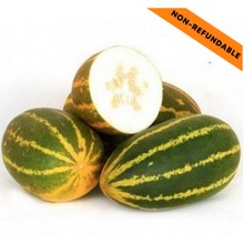 Load image into Gallery viewer, Sambar Cucumber / Mogem (500g)
